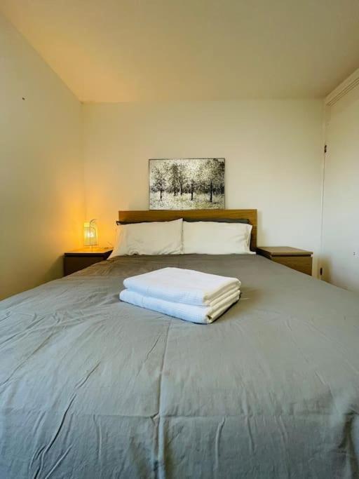 Lovely Duplex Apartment In Edinburgh City Centre Eksteriør billede